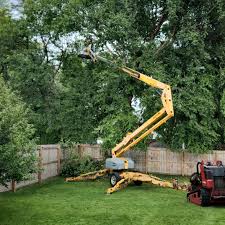 Best Arborist Consultation Services  in Locust Grove, OK